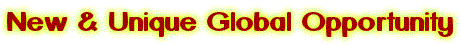 New &amp; Unique Global Opportunity